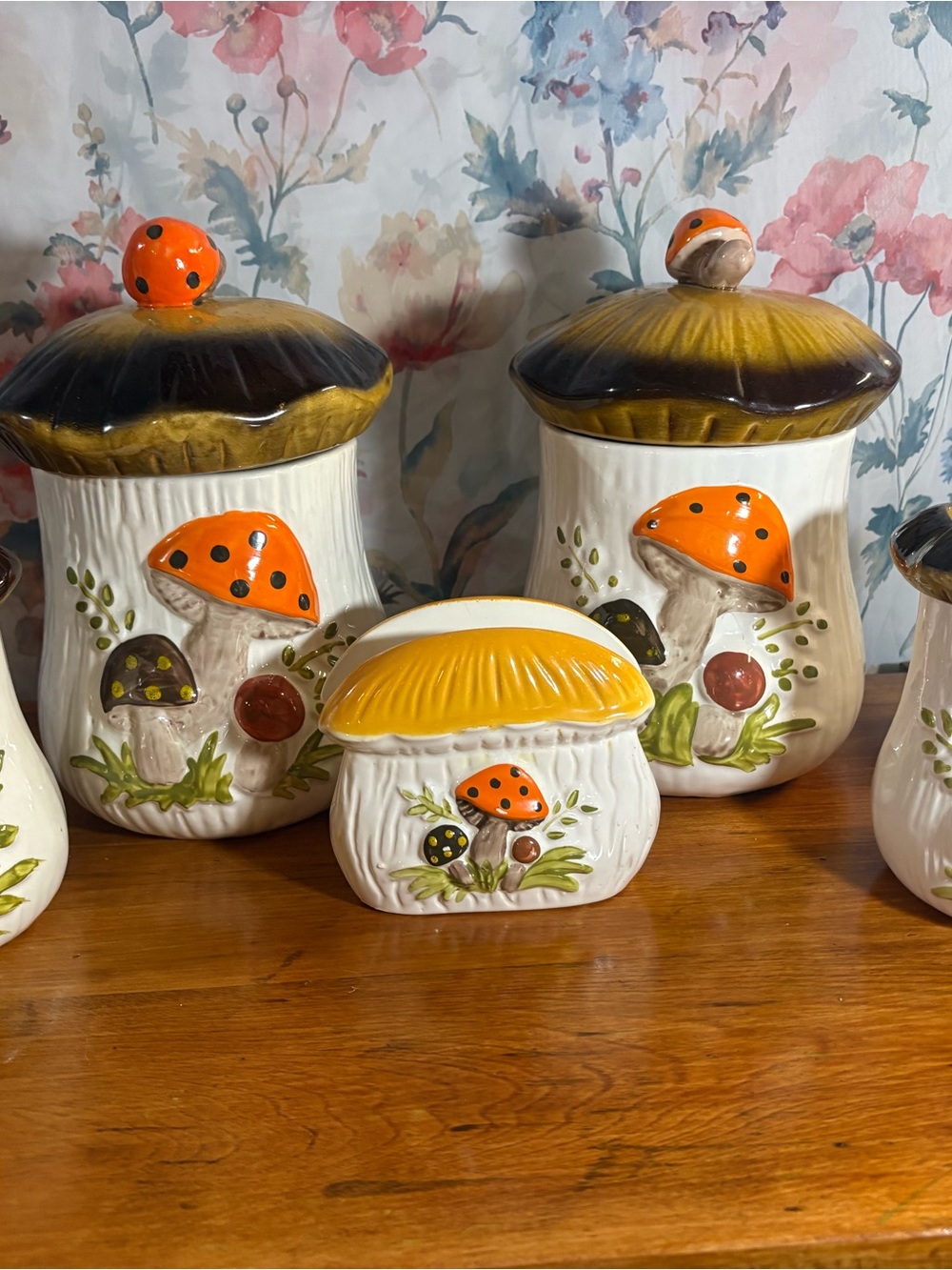 Vintage Merry Mushroom Canister Set of 5